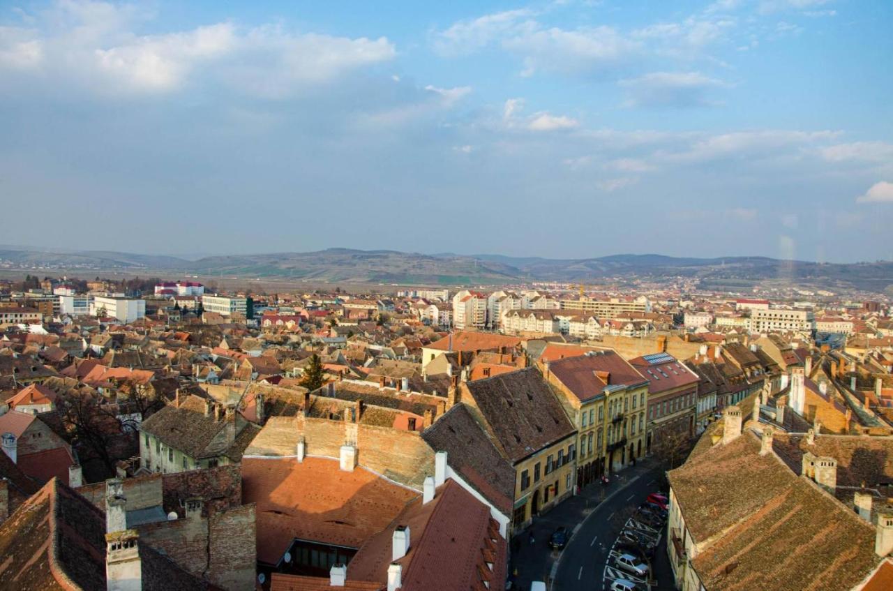 Studio Bufnita - The Owl'S Nest Sibiu Buitenkant foto